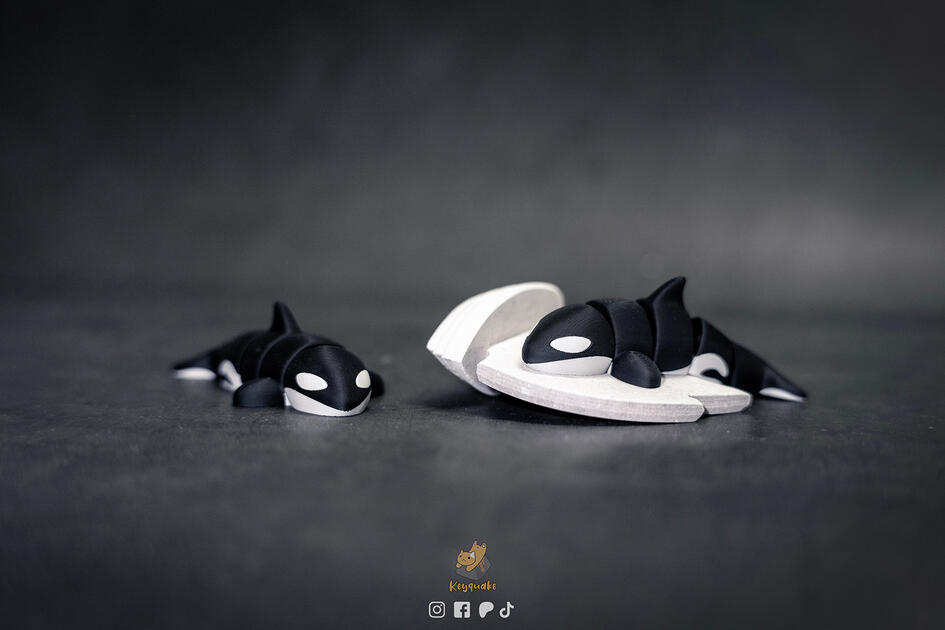Flexi Orca
