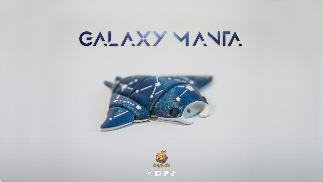 Galaxy Manta Ray