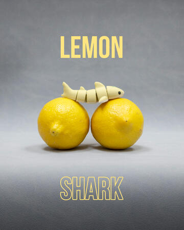Flexi Lemon Shark